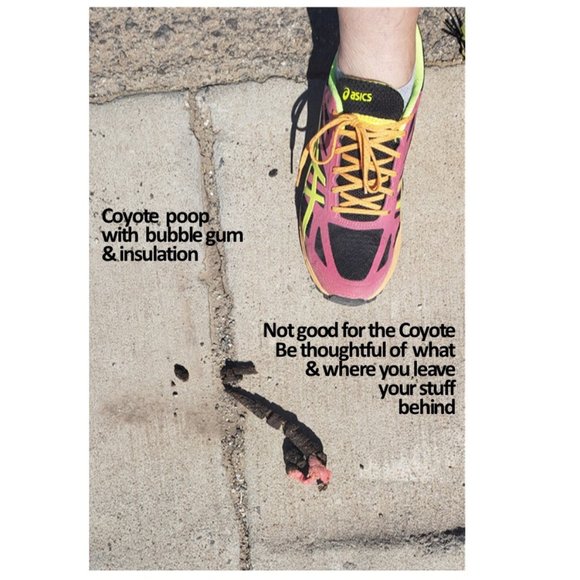 Hi there! - Picture 8 of 14